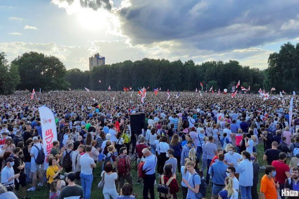 Ссылка омг telegra ph